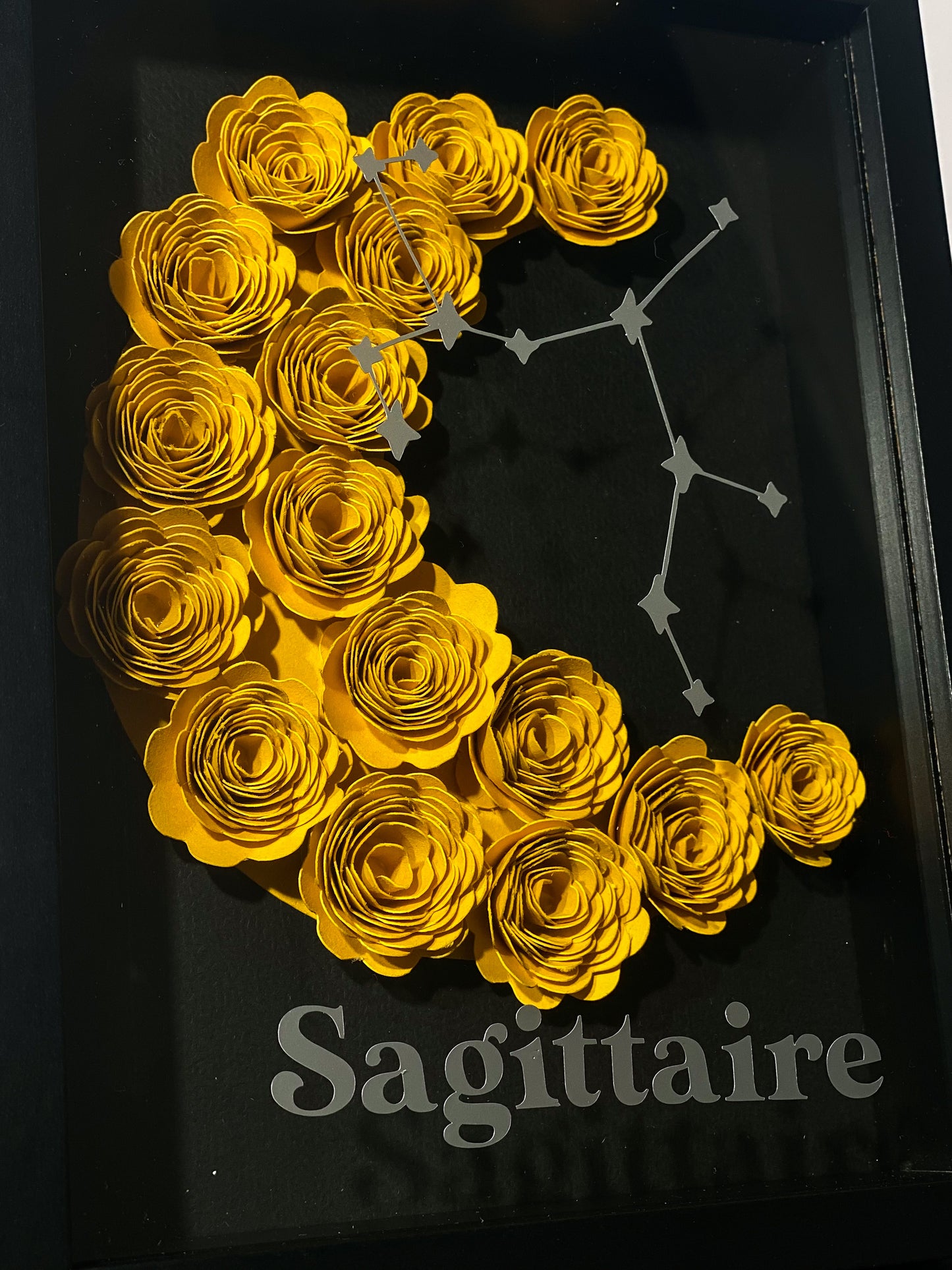 ASTRO | Cadre 3D roses